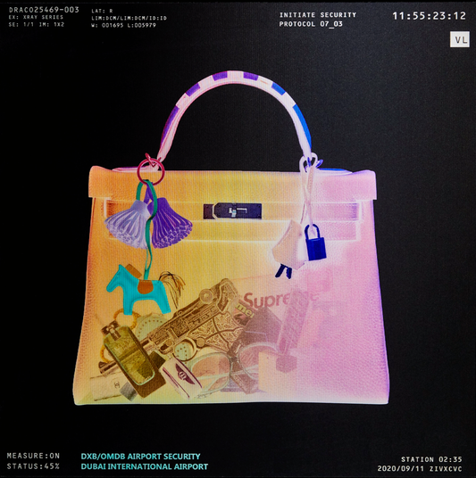 Hermes Bag Scan